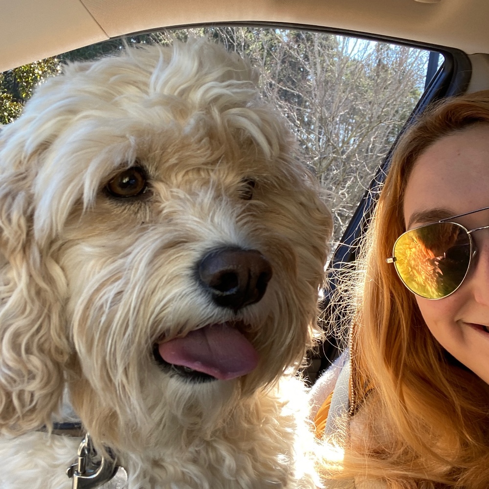 Meet your Posher, Annie